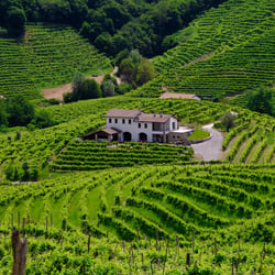 Blog - 2025 Romance - Prosecco Hills