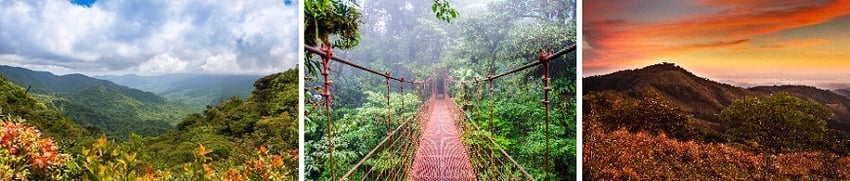 Blog - Autumn 2023 - Monteverde