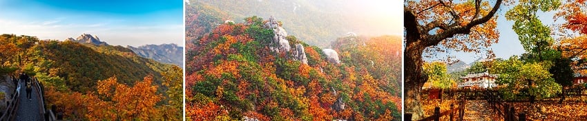 Blog - Autumn 2023 - South Korea