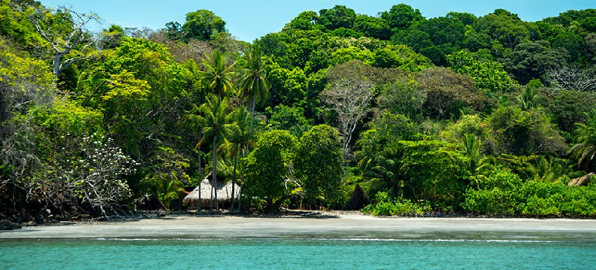 Blog - Panama Eco Lodges - Isla Palenque