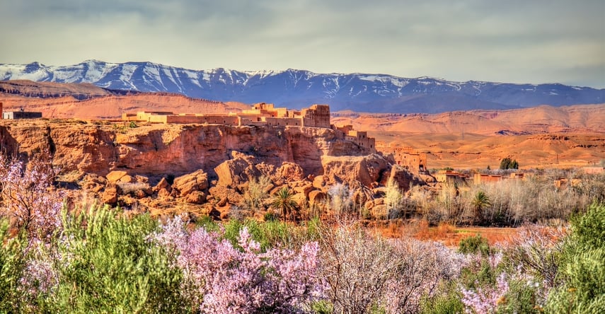 Blog - Springtime - Morocco (cropped)