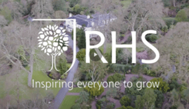 Blog - UK Winter Gardens - RHS Video