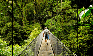 Costa_Rica_Arenal_Suspension_Bridge_Hanging_Canopy_Walkshutterstock_554846644.png