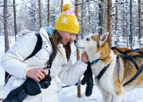 собаки в финляндии