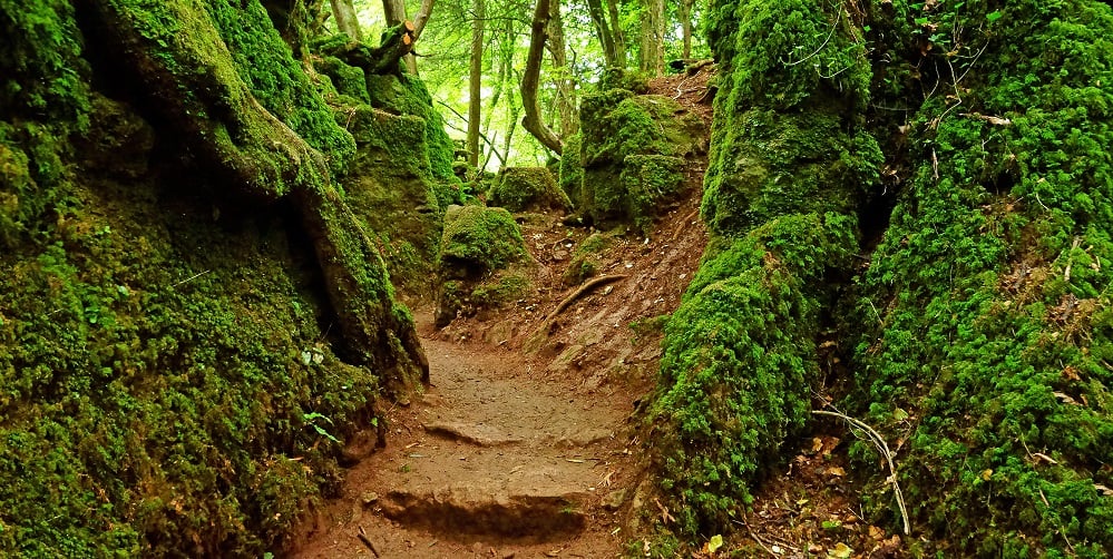 Blog - Film - Puzzlewood