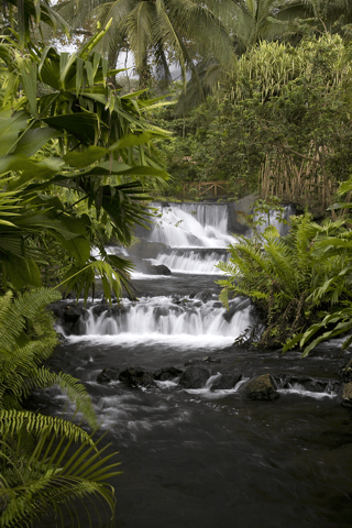 CR Arenal Hot Springs.png