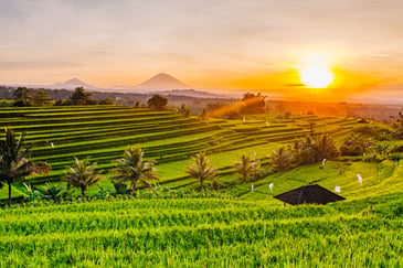 Indonesia_Bali_shutterstock_539558284