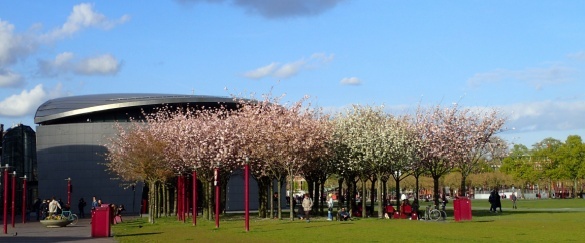 Shutterstock_1310937053