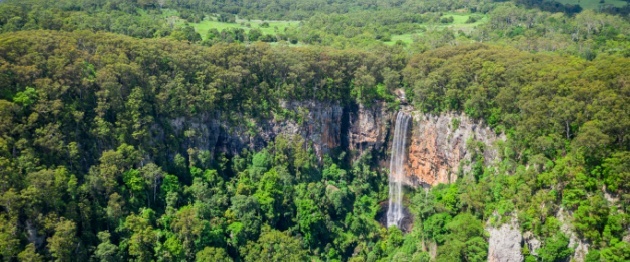 Shutterstock_1677455107