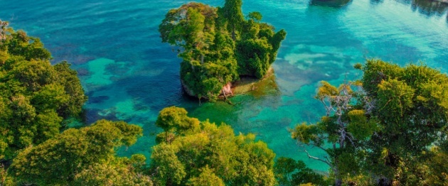 Shutterstock_1923221597