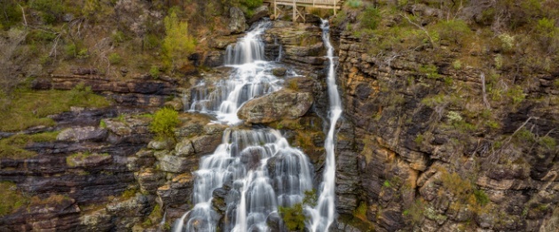 Shutterstock_2192004639