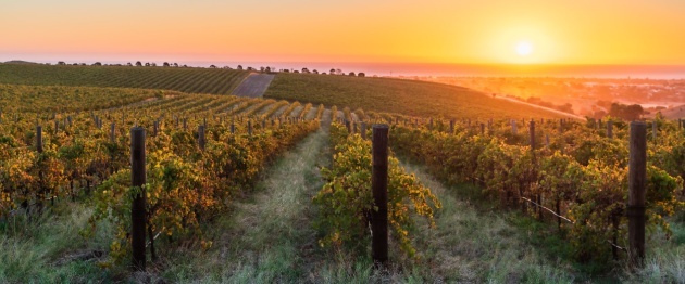 Shutterstock_2258977799