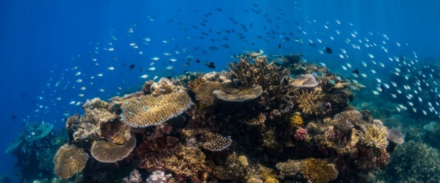 Shutterstock_2360752475