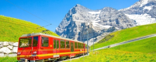 Shutterstock_2373734033