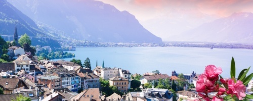 Shutterstock_2378406539