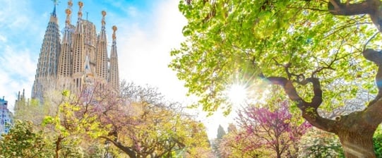 Shutterstock_2469470545