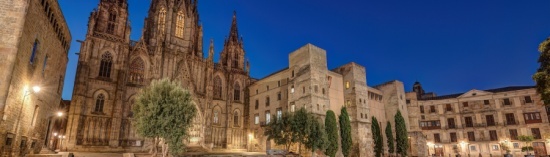 Shutterstock_2601283541