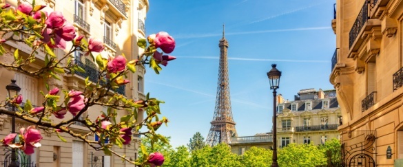 Shutterstock_2614817413