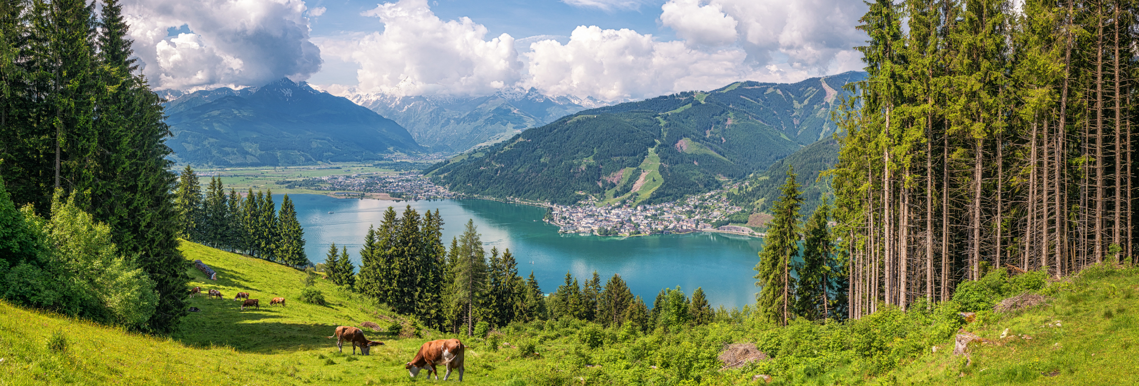 summer-lake-switzerland-travel-view