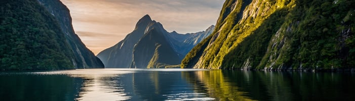 TNZLookalikeEmail01MilfordSound