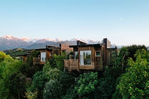 hapuku-lodge-tree-houses-DJI_0175